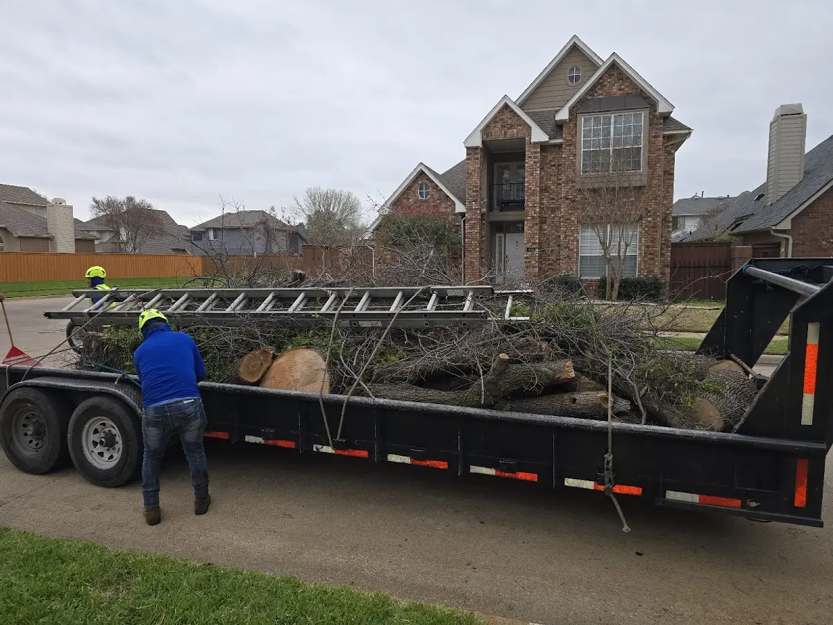 Expert Crown Reduction with proper safety equipment in Patoka